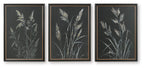 Janisburg - Wall Art Set (Set of 3) - Black / White / Brown