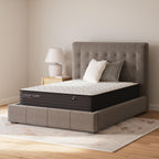Limited Edition Firm - Mattress