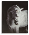 Archerwick - Wall Art - Black / White