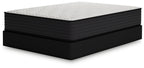 Limited Edition Plush - Mattress