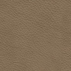 Veronella - Sectional