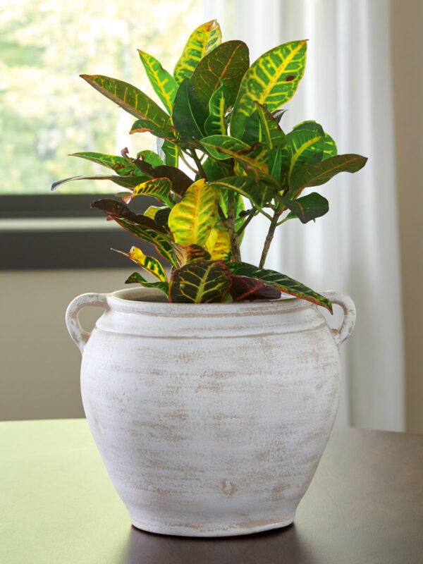 Meadie - 9" Vase - Image 2