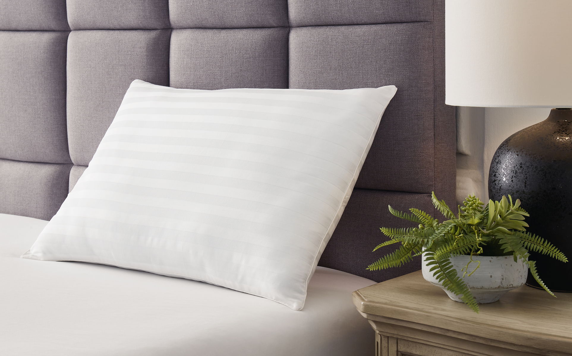 Zephyr 2.0 - Cotton Pillow - Image 2