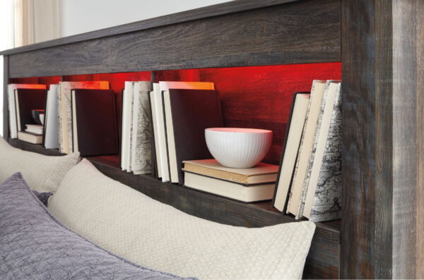Drystan - Panel Bookcase Bed - Image 7