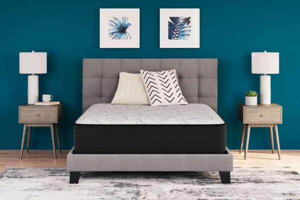 Elite Springs Firm - Mattress - Image 7