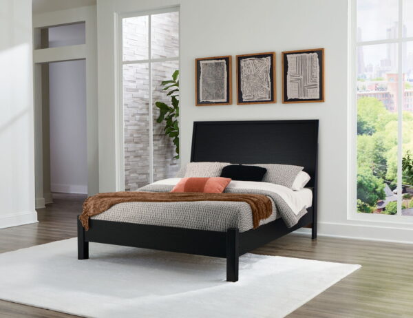 Danziar - Panel Bed With Low Footboard - Image 4